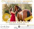 Christmas mini session with your horse