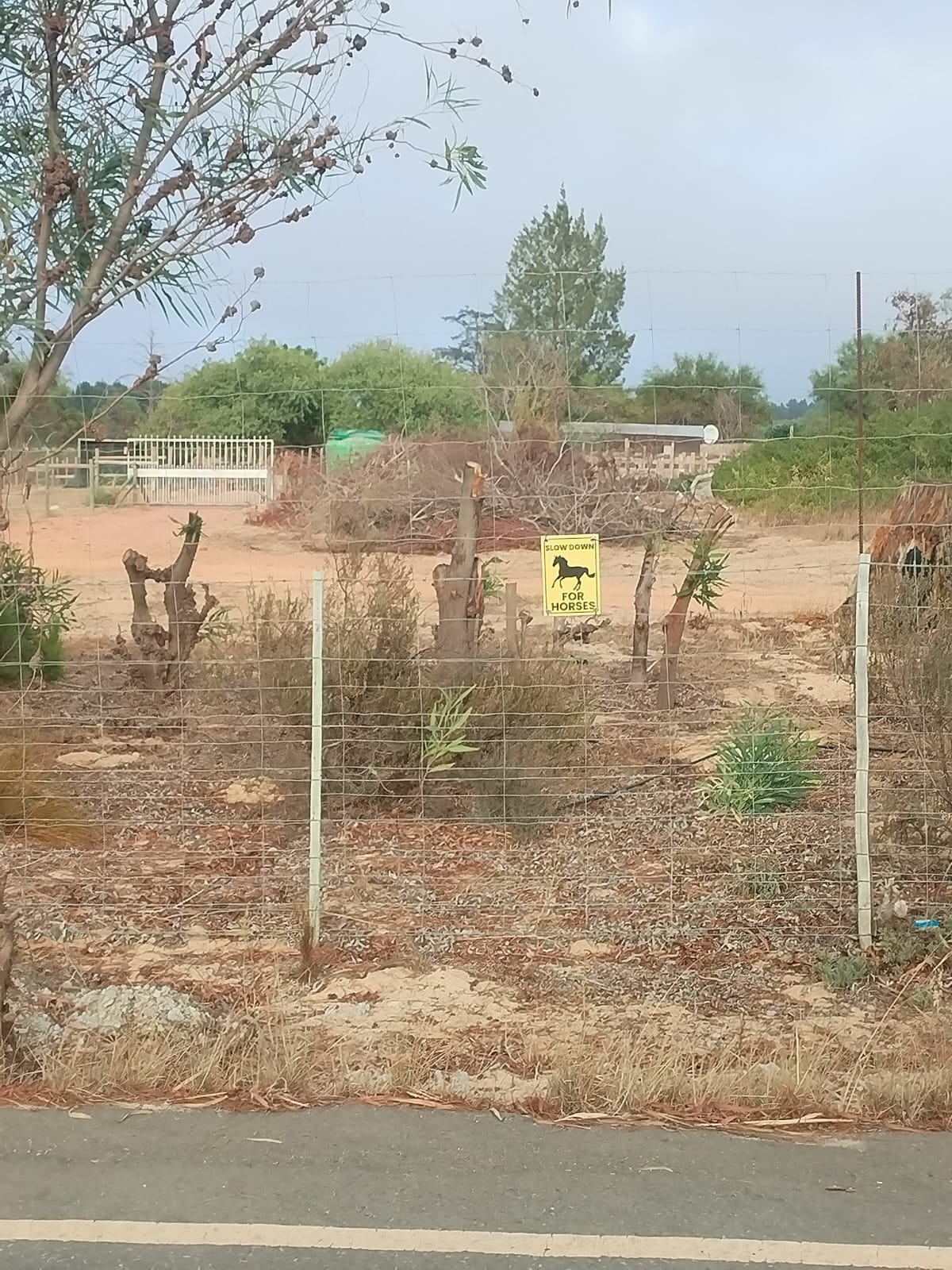 Correx Sign - 20x30cm (3mm) various styles